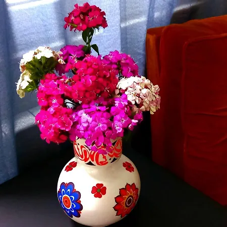 Roma73 Διαμέρισμα *